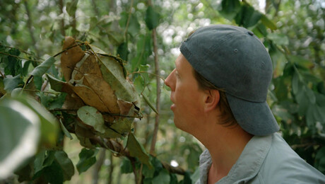 Freeks Wilde Wereld | Hagedis zonder poten!